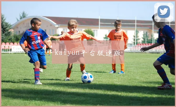 kaiyun平台极速版