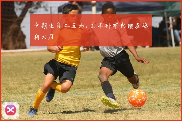 今期生肖二五加,亡羊补牢也能发返利大厅