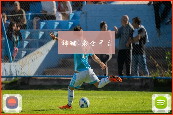 锦鲤!彩会平台