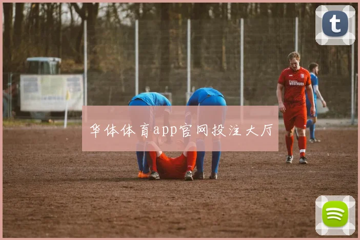 华体体育app官网投注大厅