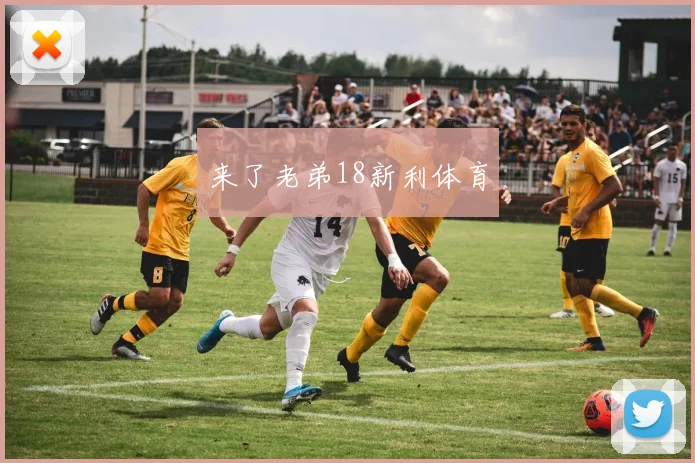 来了老弟18新利体育