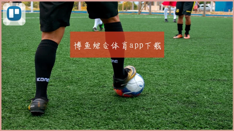 博鱼综合体育app下载