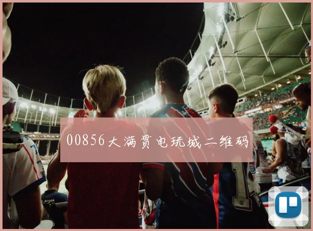 00856大满贯电玩城二维码