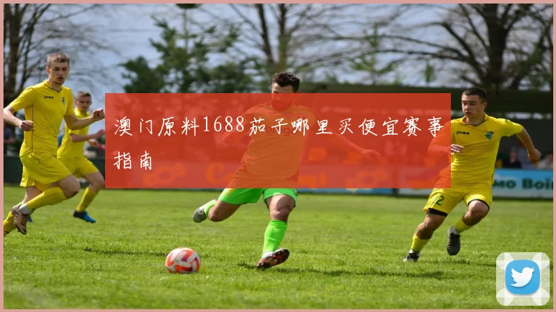 澳门原料1688茄子哪里买便宜赛事指南