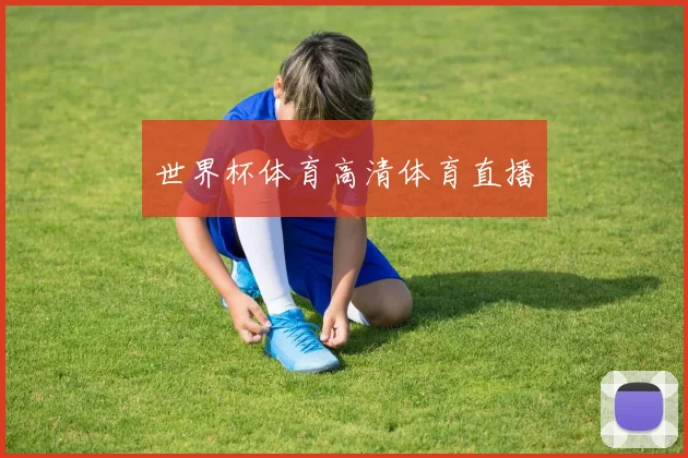 世界杯体育高清体育直播