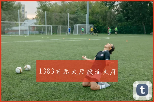 1383开元大厅投注大厅