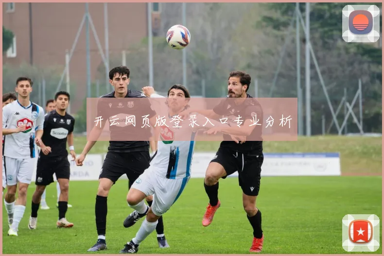 开云网页版登录入口专业分析
