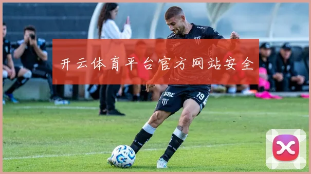 开云体育平台官方网站安全