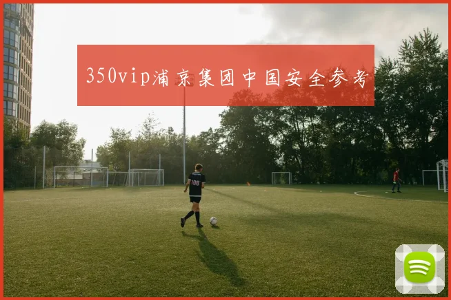 350vip浦京集团中国安全参考