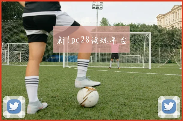 新!pc28试玩平台