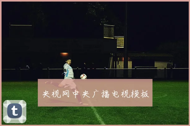 央视网中央广播电视模板