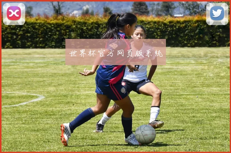 世界杯官方网页版系统