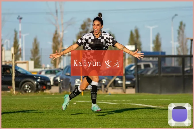 Kaiyun 官方