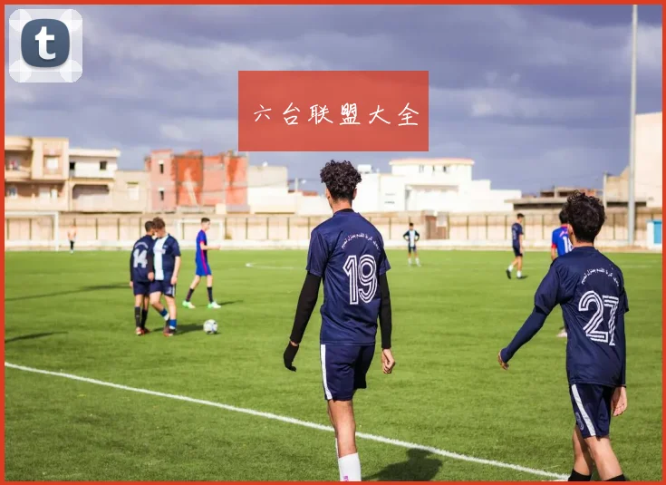 六台联盟大全