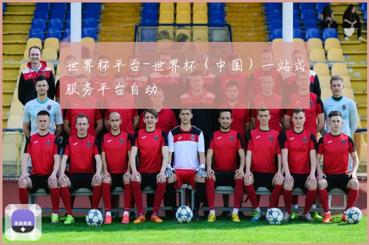 世界杯平台-世界杯（中国）一站式服务平台自动