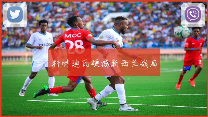 科特迪瓦硬撼新西兰战局
