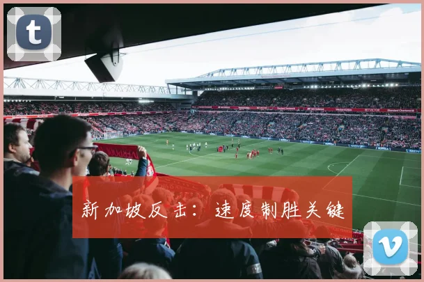 新加坡反击：速度制胜关键