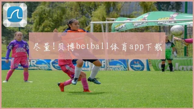 尽量!贝博betball体育app下载