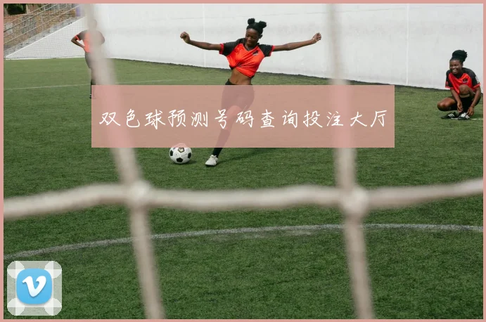 双色球预测号码查询投注大厅