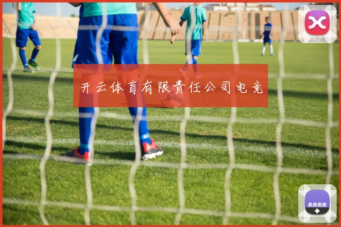 开云体育有限责任公司电竞