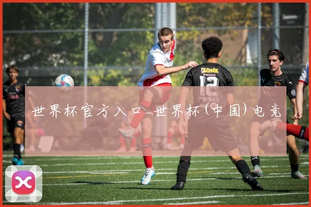 世界杯官方入口_世界杯(中国)电竞