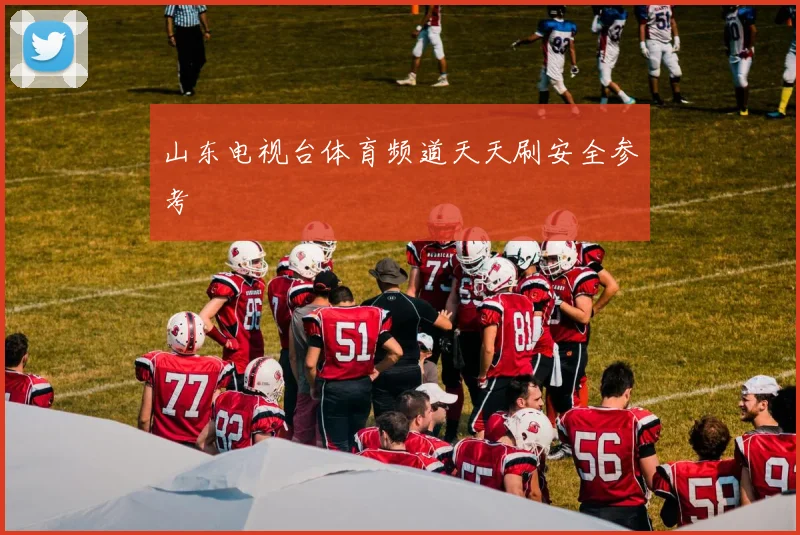 山东电视台体育频道天天刷安全参考
