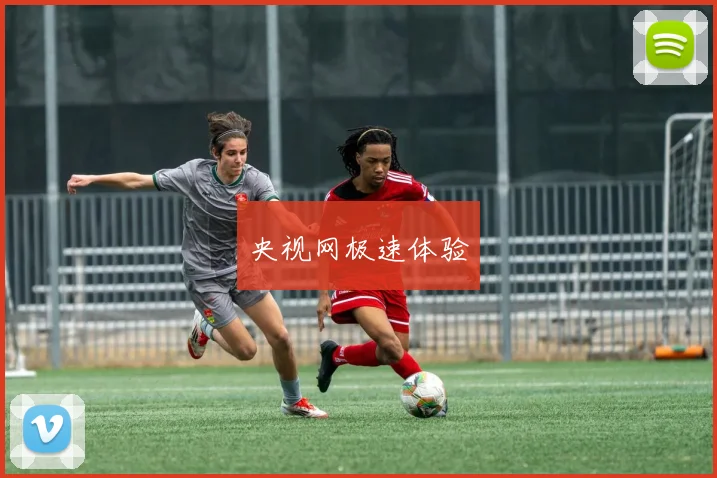 央视网极速体验