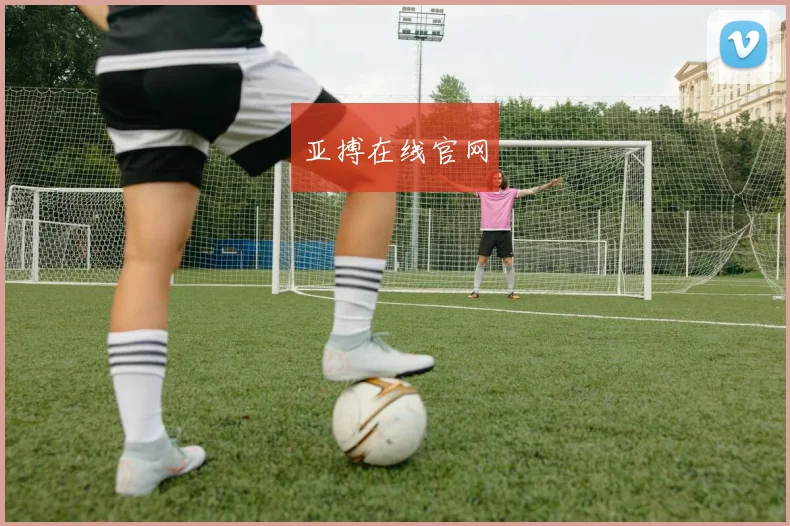 亚搏在线官网