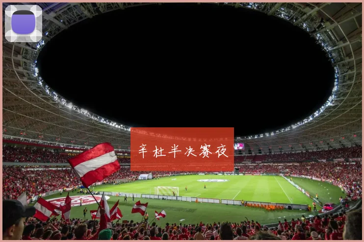 辛杜半决赛夜