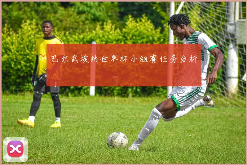 巴尔武埃纳世界杯小组赛任务分析