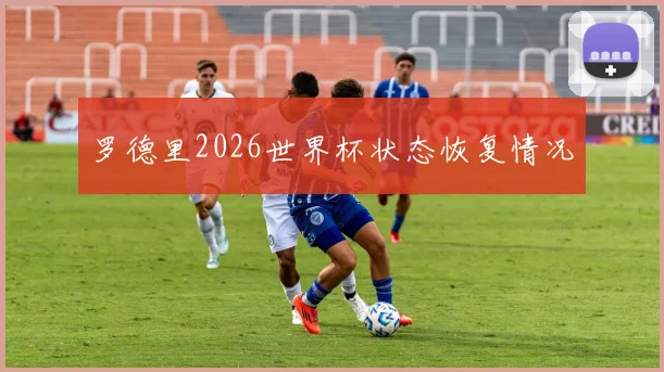 罗德里2026世界杯状态恢复情况