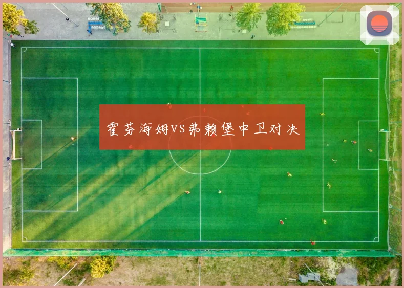霍芬海姆vs弗赖堡中卫对决