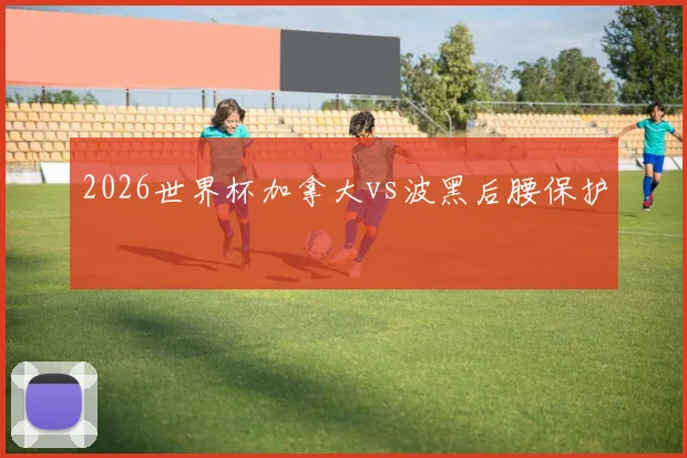 2026世界杯加拿大vs波黑后腰保护
